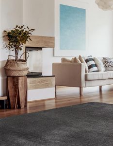 Lounge Suite Cleaning
