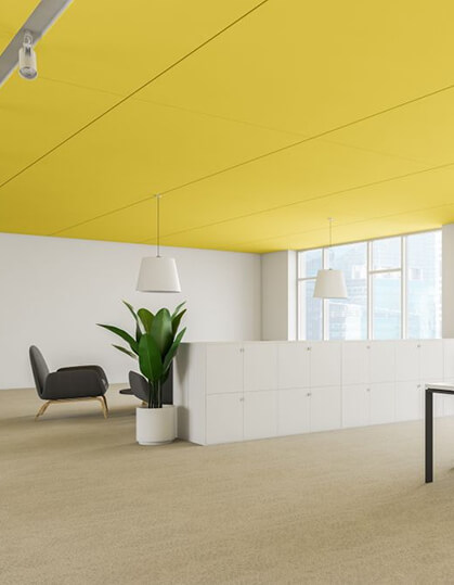 Office Carpet and Leather Cleaning Services